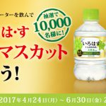 【コカ・コーラ】未発売い・ろ・は・す シャインマスカットが抽選で10,000名様に当たる