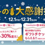 【ギフトコ】「冬の大感謝祭」ギフト購入でdポイントを30%還元